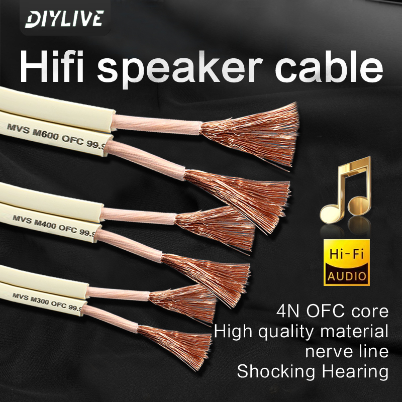 DIYLIVE Przewód głośnikowy HiF – Home Cinema Xlr recenzja i cena